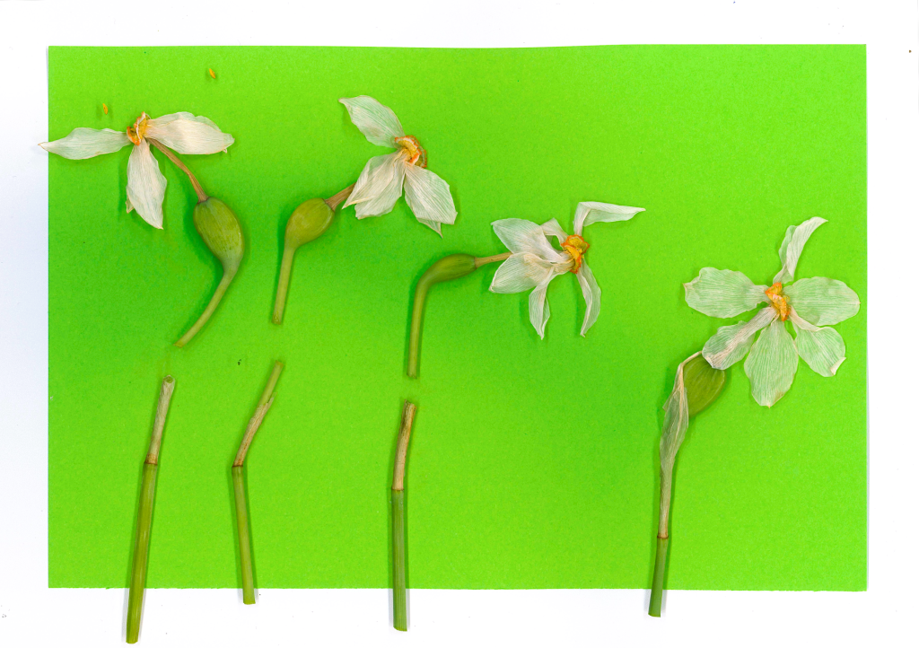 After breaking his silence as Kosovo’s first male wartime rape survivor, Ramadan Nishori’s full testimony (once anonymous) is now published by Pro Peace with his identity.